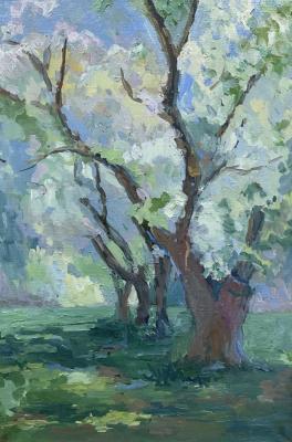 �������� ���. ��������� �������