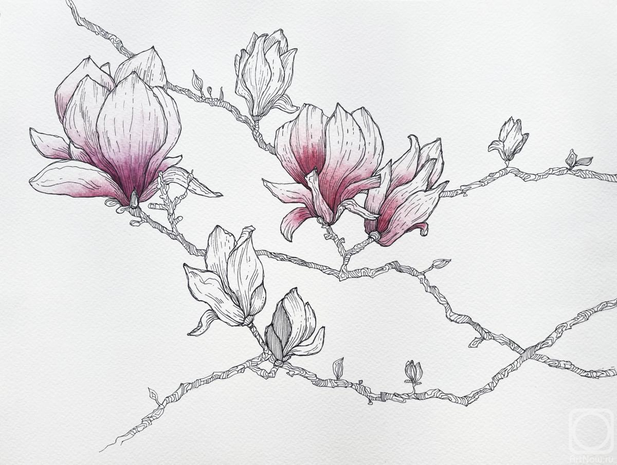 Pogosova Anait. Magnolia