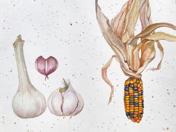 Garlic and corn