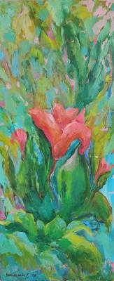 ����. ���������� �����