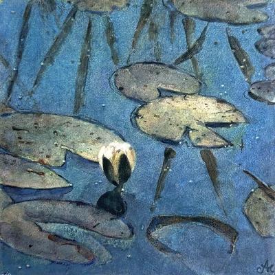 ��� ������ ����. ��������� ��������