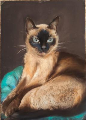 Thai cats,animalism. Ralosavlevich Elena