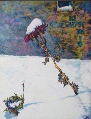 �� ��� �����. ������� ���������