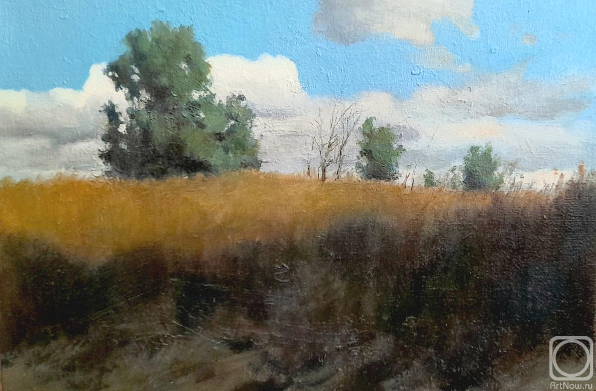 ������� ������ �� ������. ������� ����. ������� �.�. ������� �����