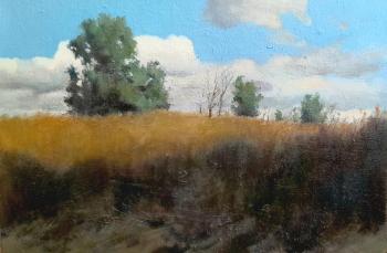 ������� �.�. ������� �����. ������� ����