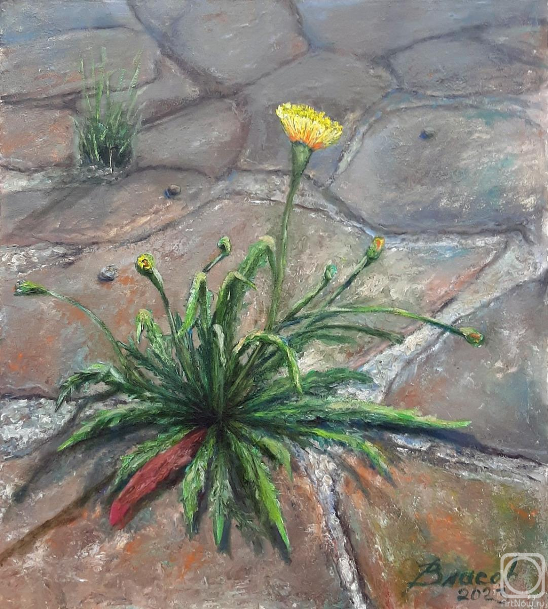 ������� ������ �� ������. ������ ��������. �����������