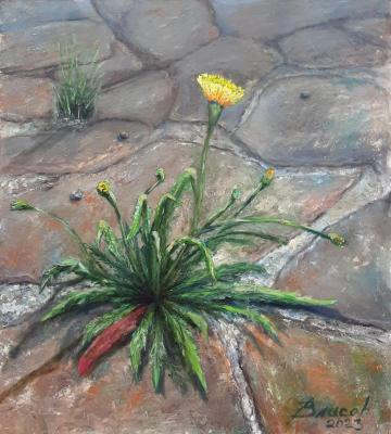 ����������� (Weed). ������ ��������