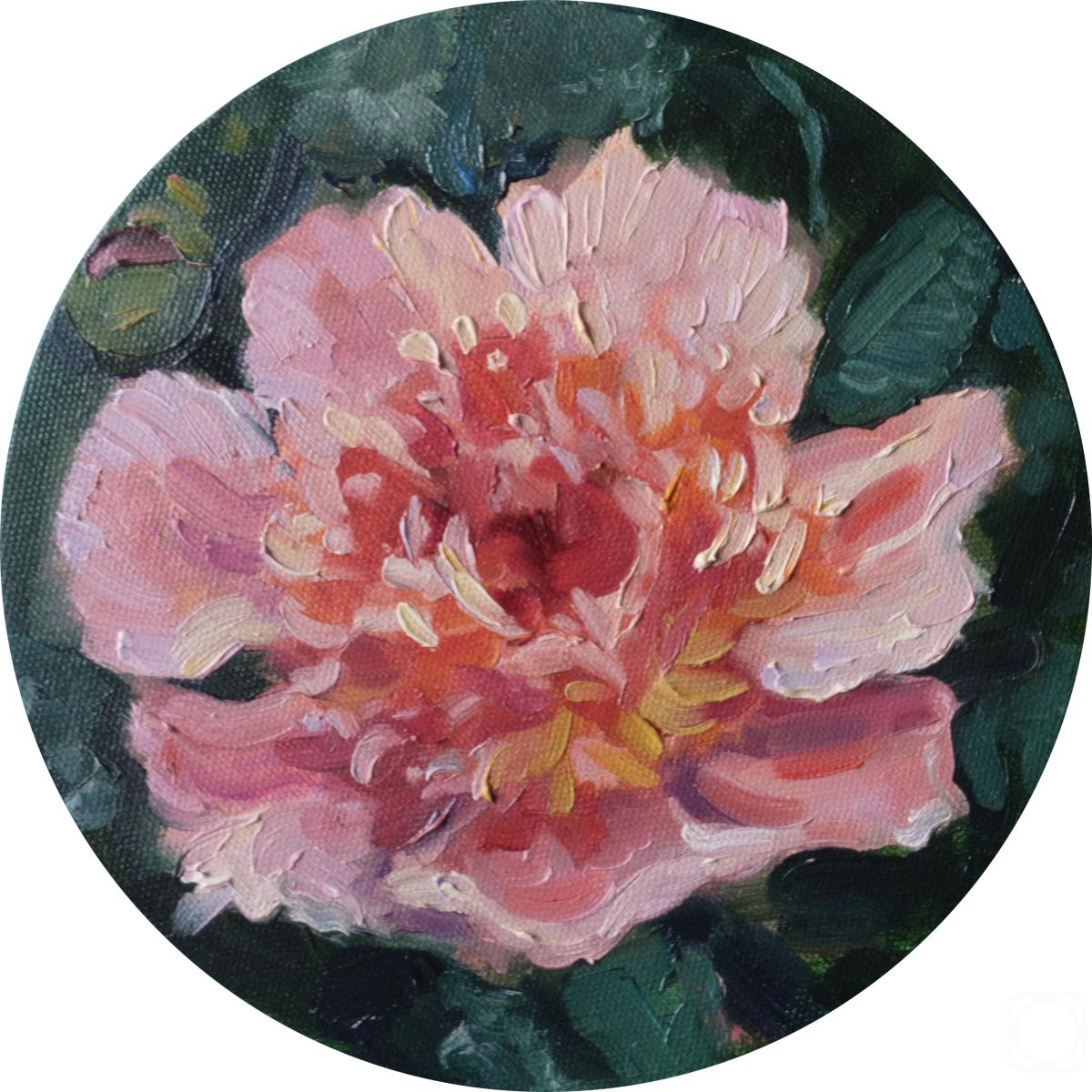 ������� ������ �� ������. ��������� ������. ���� �������