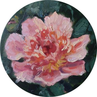 ���� �������. ��������� ������