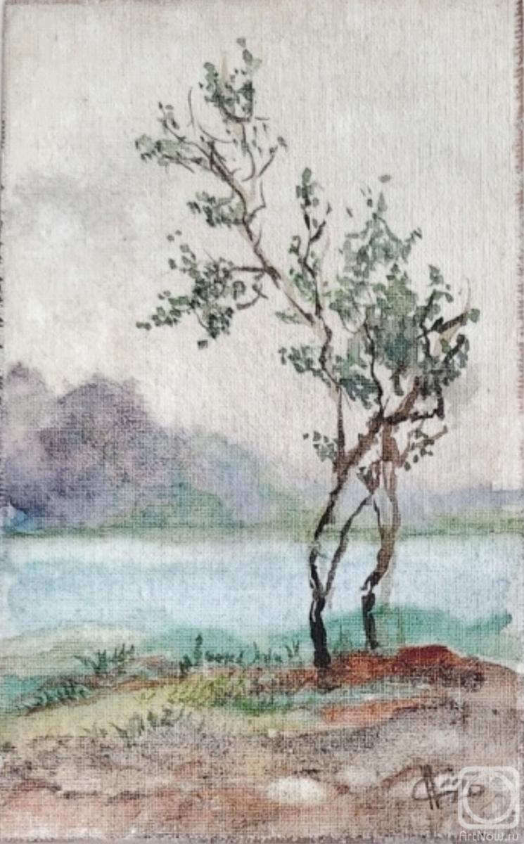 �������. ������ �������. ��� ������