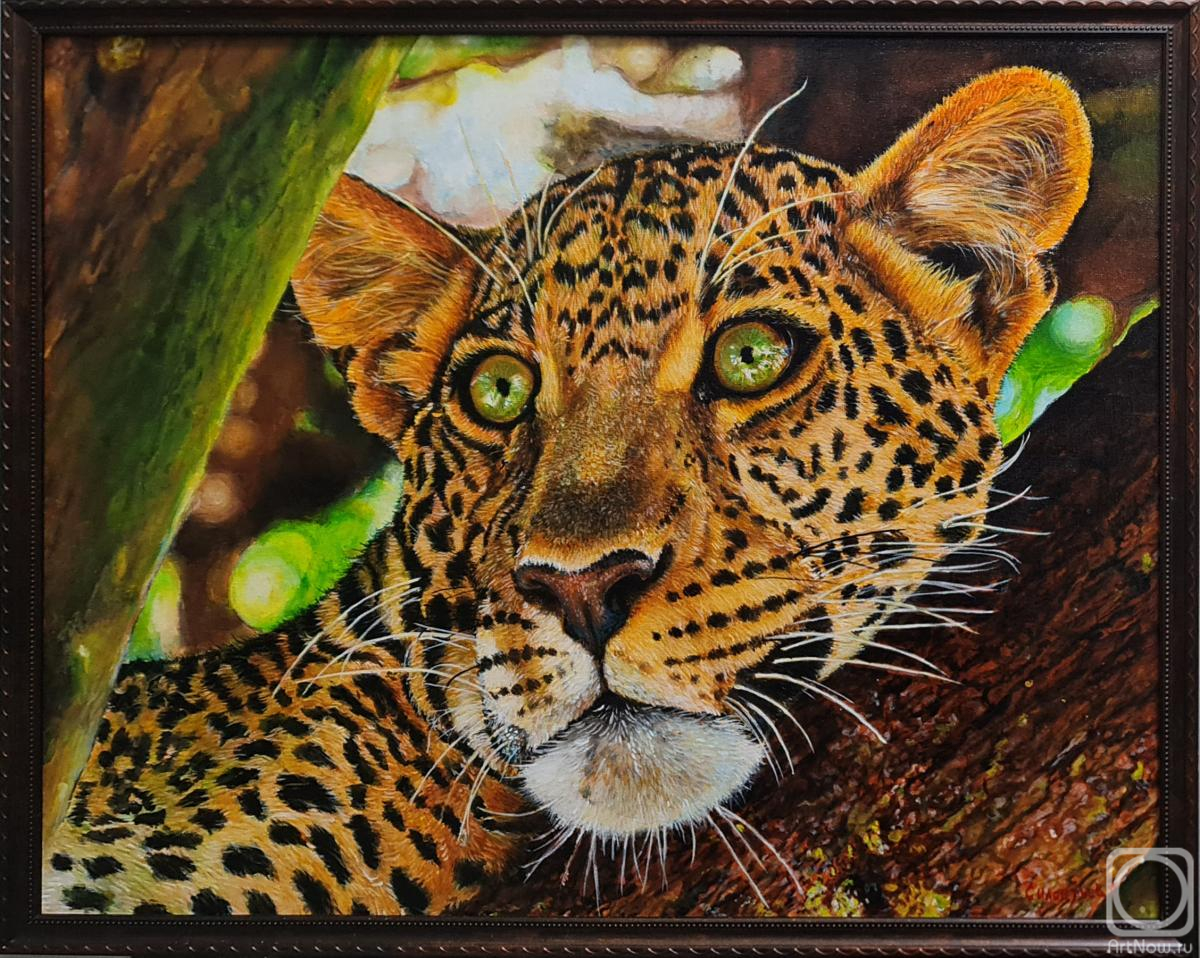 �������. ��������� ������. �������