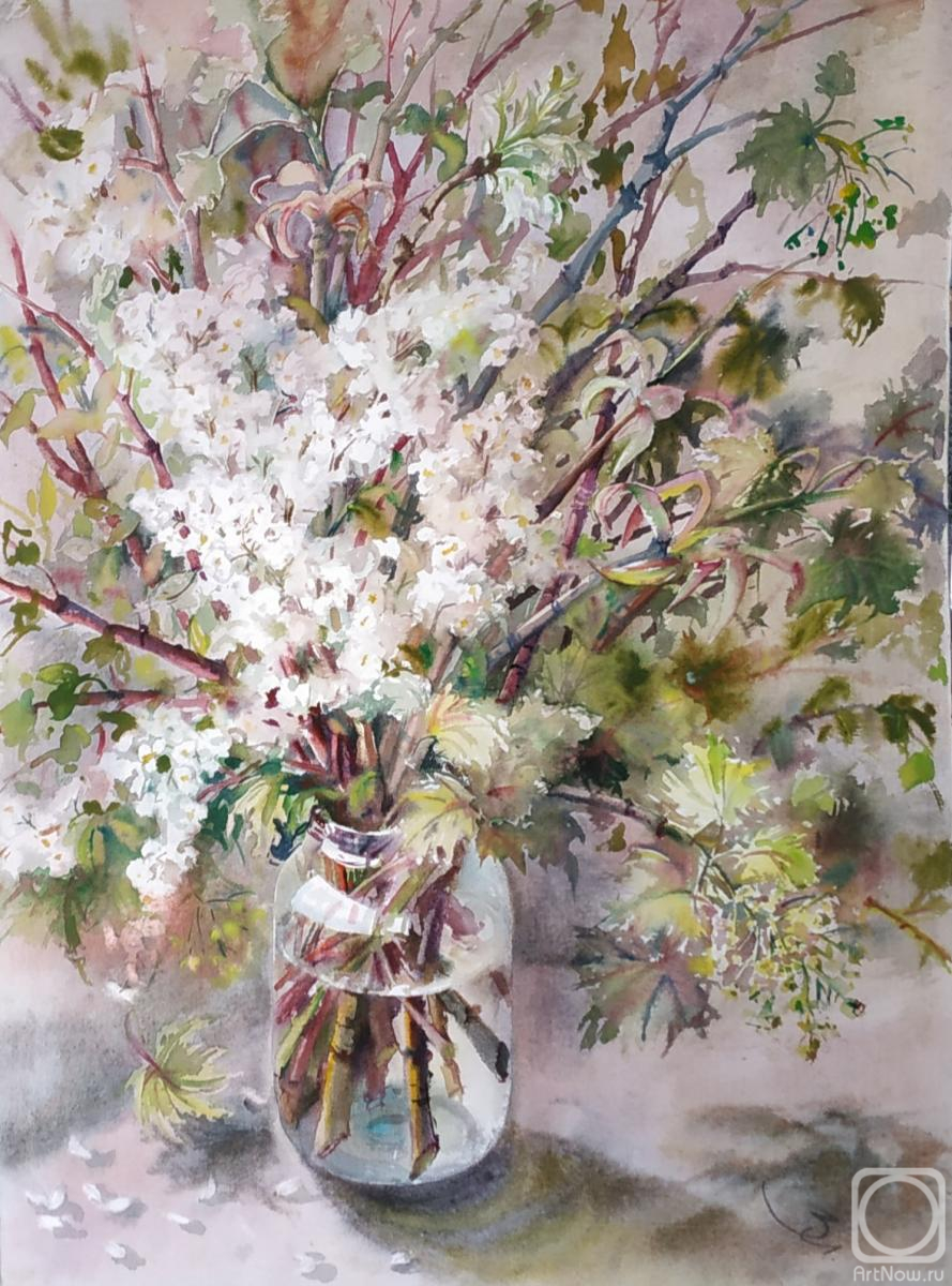 �������. ������ ����. ����� ����� � �����