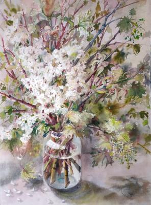 ����� ����� � �����. ������ ����