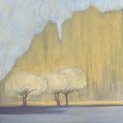 ��� �����������. �������� �������