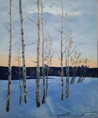 ����������, ���������� ����. ����� ���������