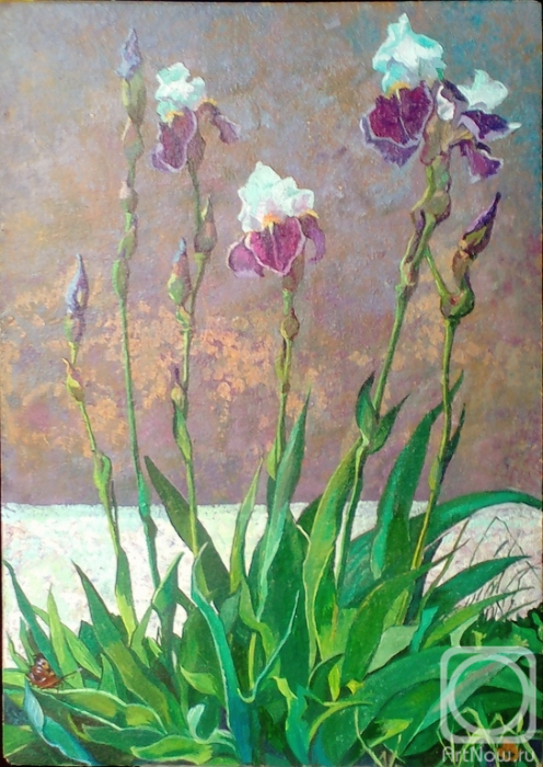 Zaharov Aleksandr. Untitled