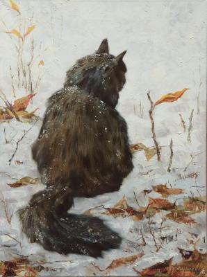 ����� ����