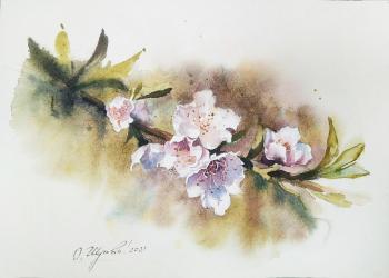 ����� ��������. ������ �����