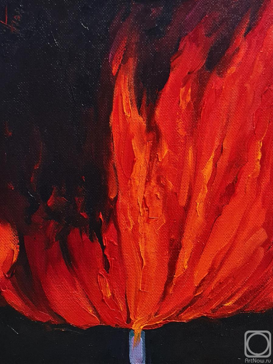 �������. ������� ���������. ������������� 67