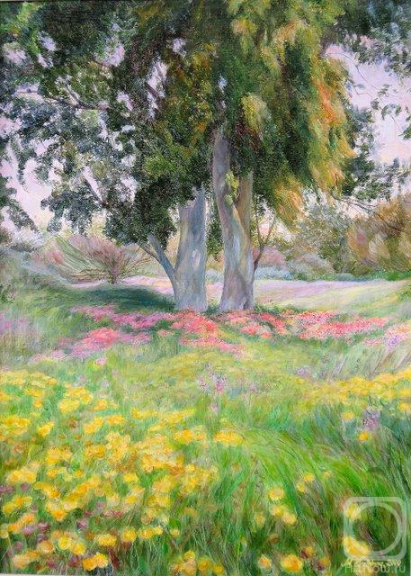 ������� ������ �� ������. ������ ����. ���������