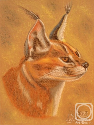 �������. �������� ������. ���� ���, � ���������!