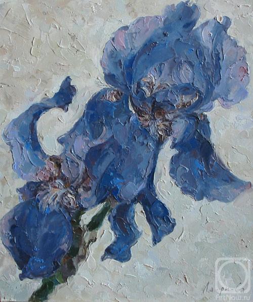 ������� ������ �� ������. ������������ ������. ����