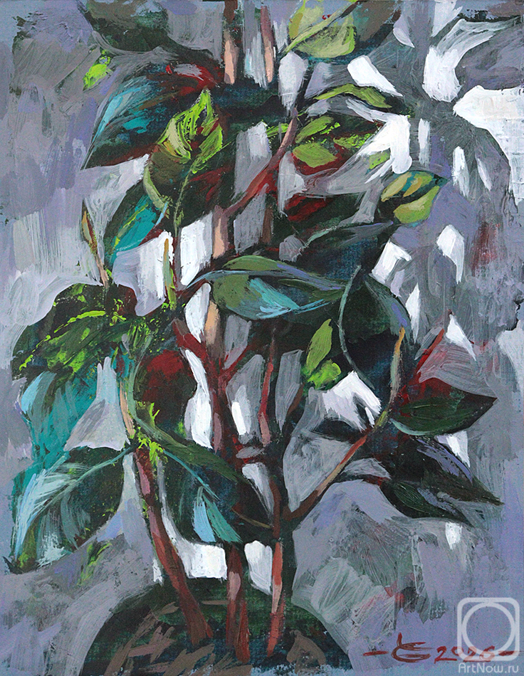 �������. ���� �����. ������ � ����������. �����. 2026