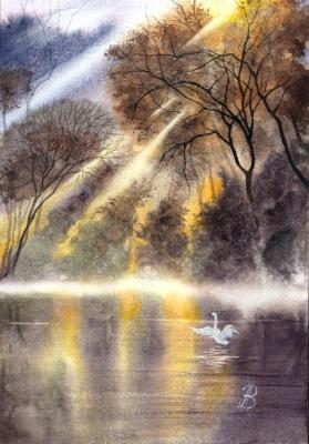 � �������� �����. �������� ����