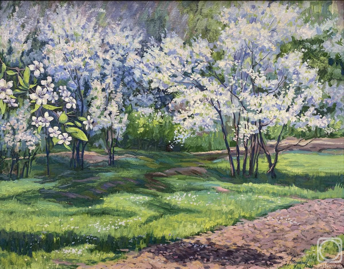 ������� ������ �� ������. ���������� �������. ��������