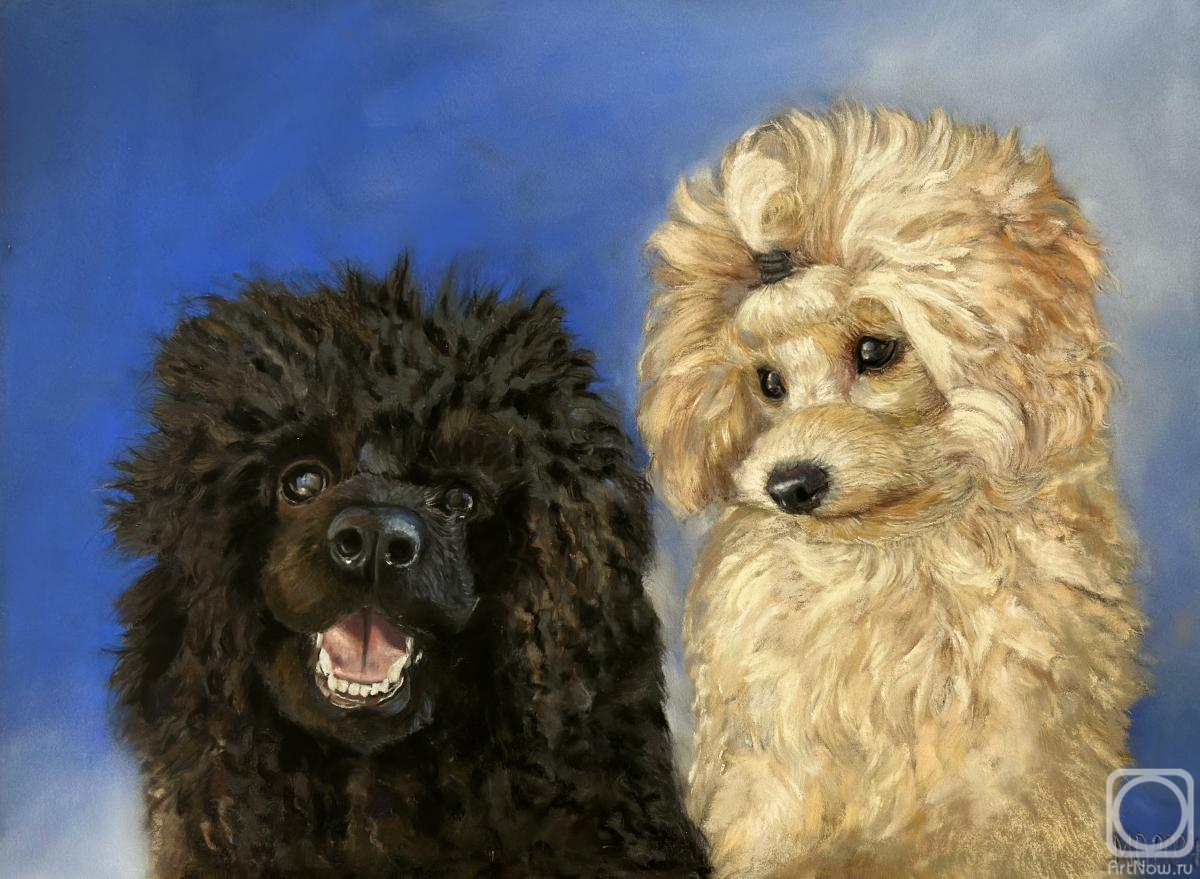 �������. �������� ����. ������