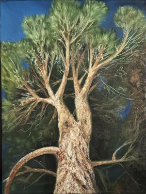 ����� ������. ������� �������