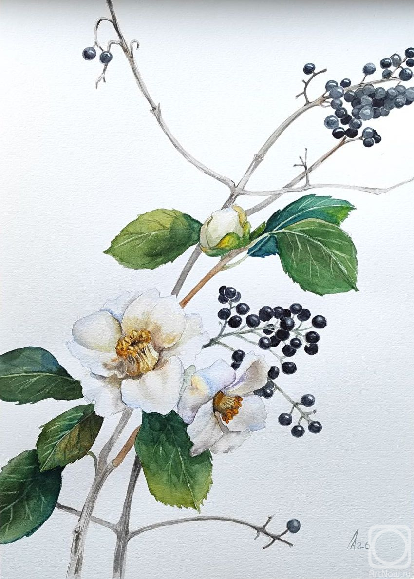 �������. ������ �������. �������