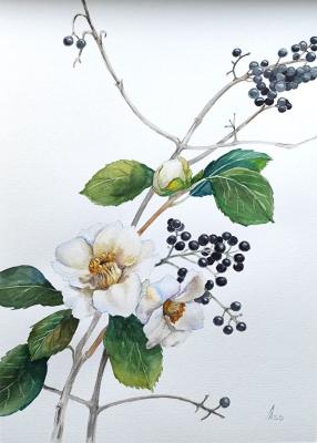 �������. ������ �������