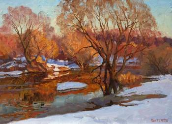 ����� ���������. ��������� ������