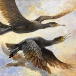 ���� �����.<br>������� ���������