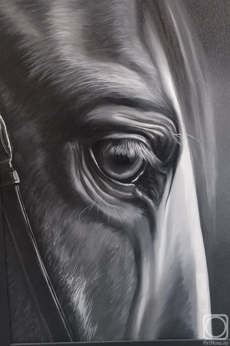 ������� ������ �� ������. ��������� �����. ������