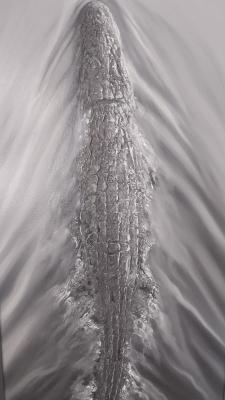 ��������. ��������� �����