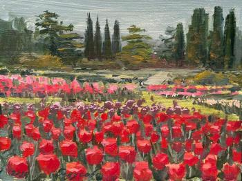 ����� ���������. �������� �����