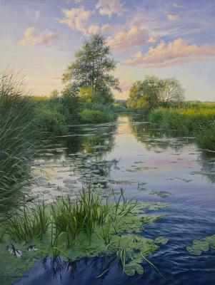 Summer landscape. Zhaldak Edward