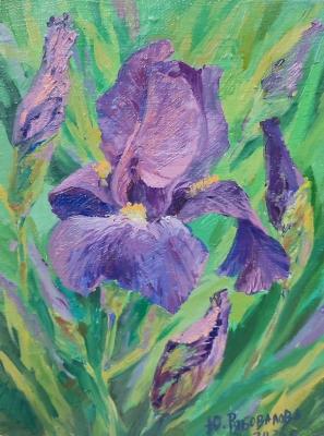 ���������� ����