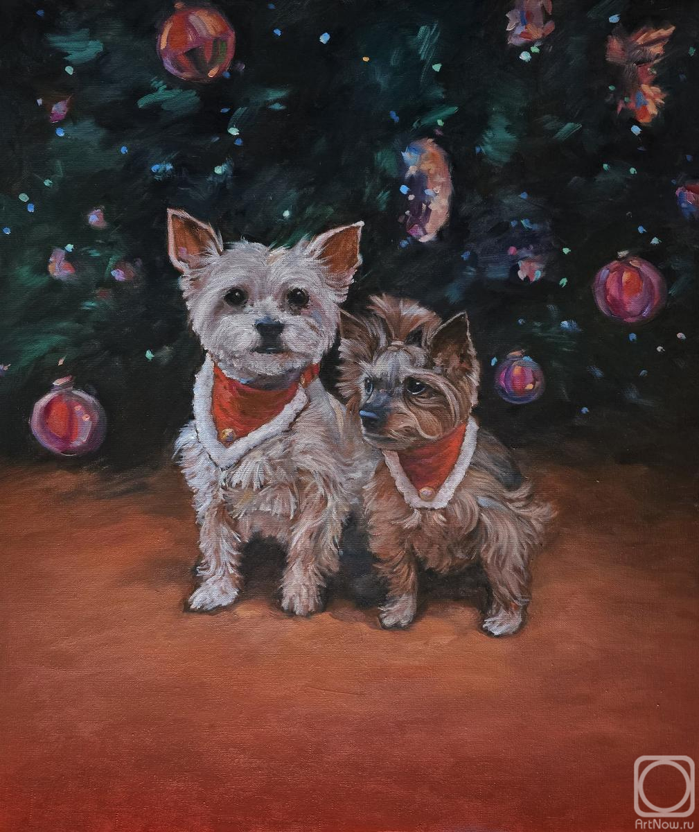 ������� ������ �� ������. ������� ���������. �������