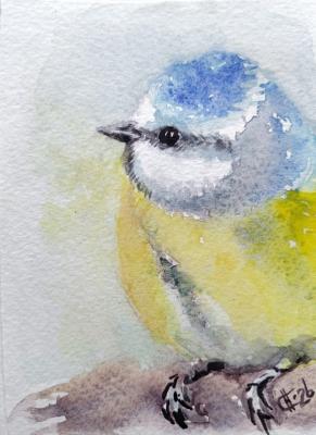 �������. ������ �������