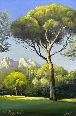 ������������ ����. �������� �����