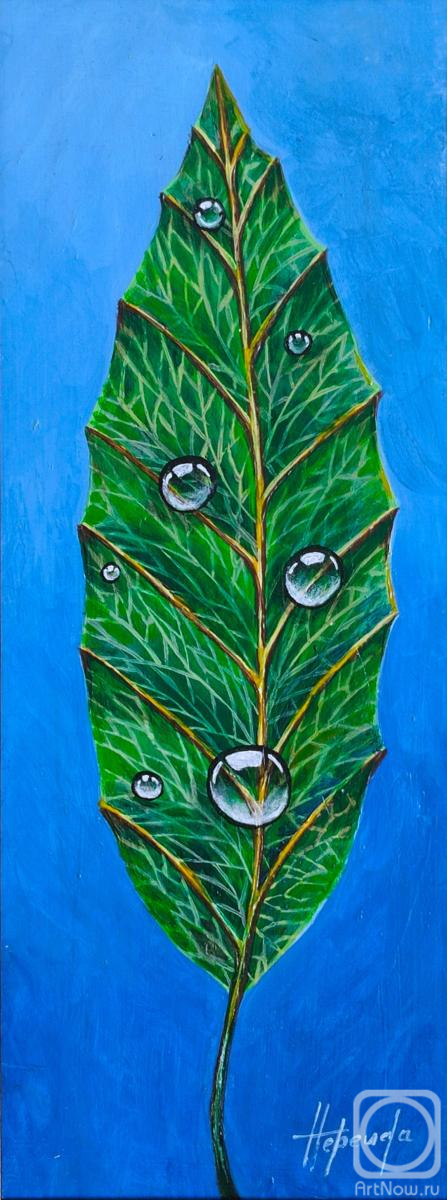 �������. ��������� ������. ���� ��������