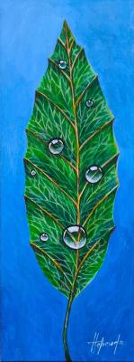 ������� ����� ��������