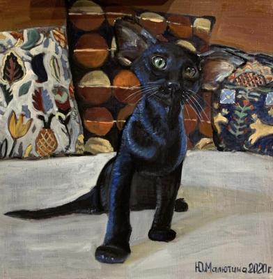 ׸���� ������ � ������� �������. �������� ����