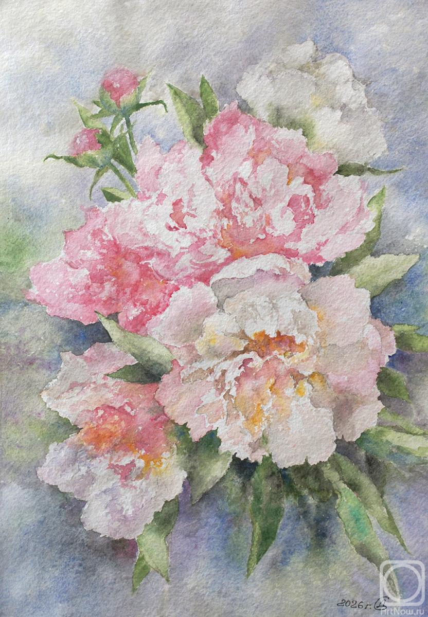 �������. �������� ������. �������� ����������