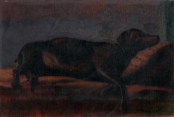 ������ ������. �����. ����� ����