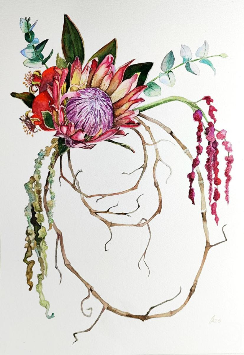 Lapina Albina. Untitled