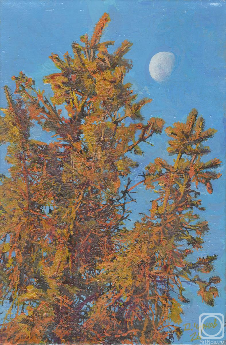 ������� ������ �� ������. ������ �����. ��� � �������� ����